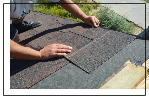 shingles on roof